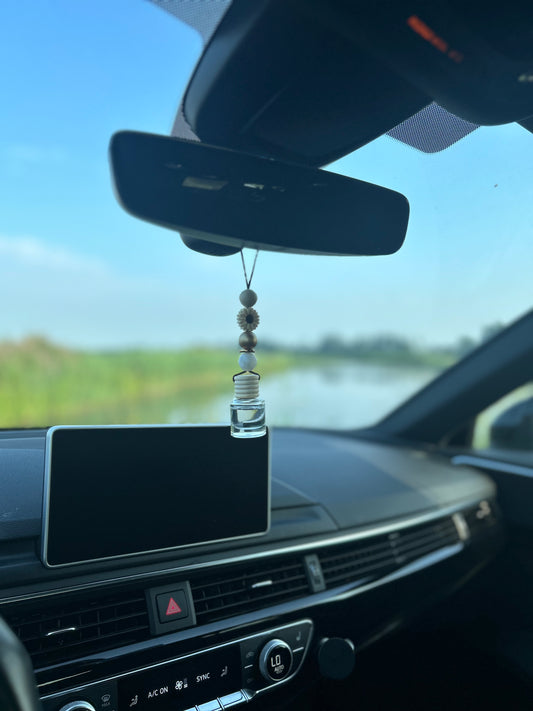 Autodiffuser CUSTOM